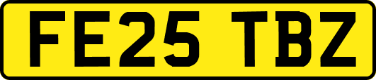 FE25TBZ