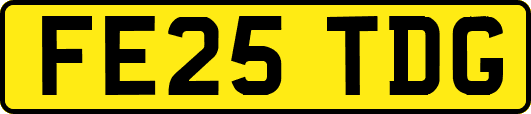 FE25TDG
