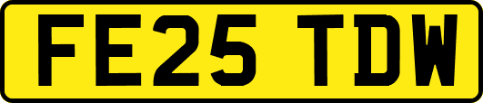 FE25TDW