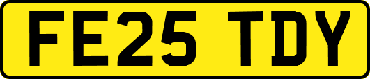FE25TDY
