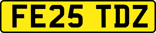 FE25TDZ