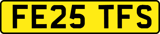 FE25TFS
