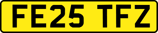 FE25TFZ