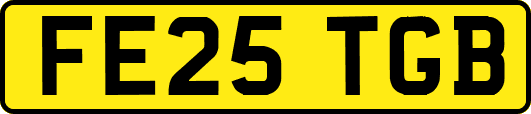 FE25TGB