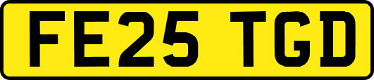 FE25TGD