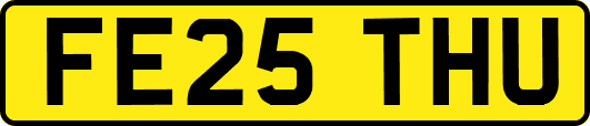 FE25THU
