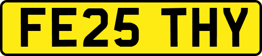 FE25THY