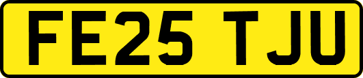 FE25TJU