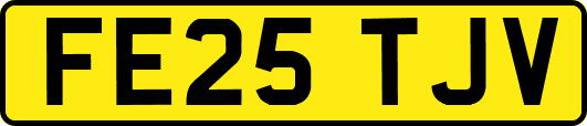 FE25TJV