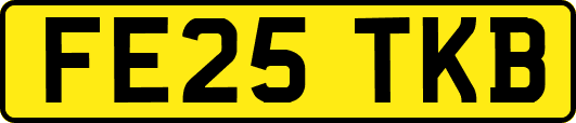 FE25TKB