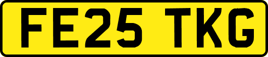FE25TKG