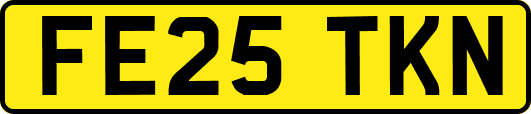 FE25TKN