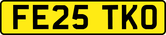 FE25TKO