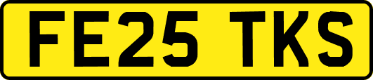 FE25TKS