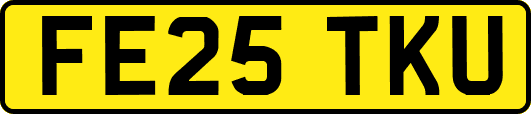 FE25TKU