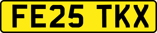 FE25TKX