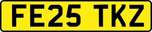 FE25TKZ