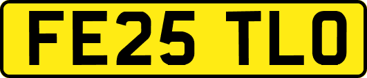 FE25TLO