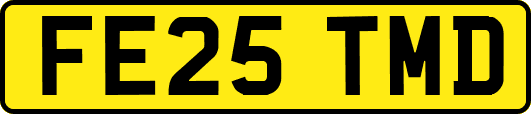 FE25TMD