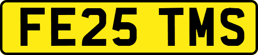 FE25TMS