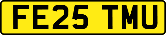 FE25TMU