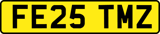 FE25TMZ