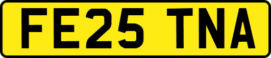 FE25TNA