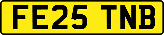 FE25TNB