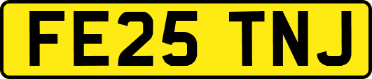 FE25TNJ