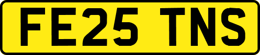 FE25TNS