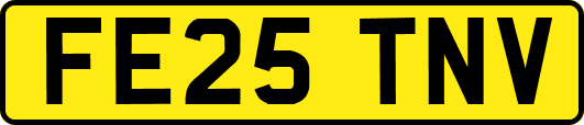 FE25TNV