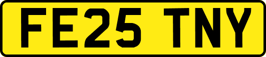 FE25TNY