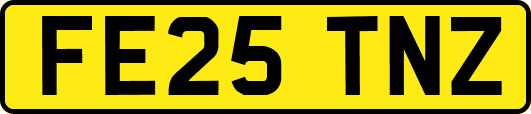 FE25TNZ