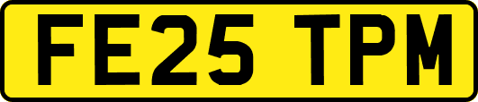 FE25TPM