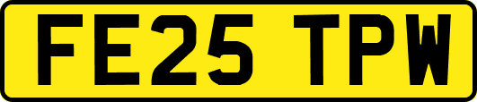 FE25TPW