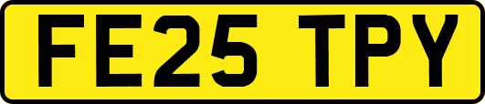 FE25TPY