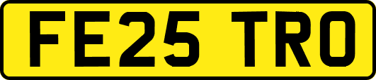 FE25TRO