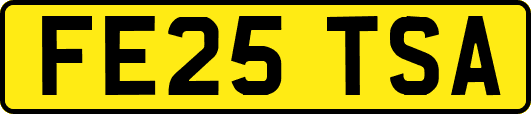FE25TSA