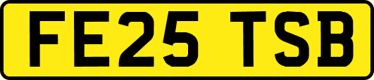 FE25TSB