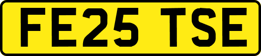 FE25TSE
