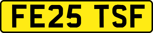 FE25TSF