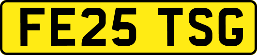 FE25TSG