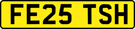FE25TSH
