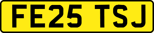 FE25TSJ