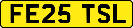 FE25TSL