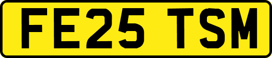 FE25TSM