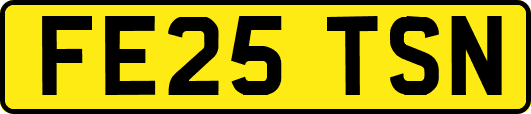 FE25TSN