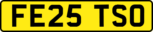 FE25TSO