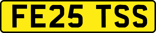 FE25TSS