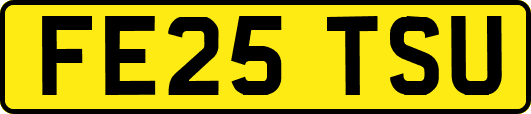 FE25TSU